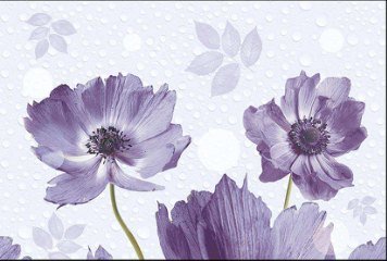 Glossy Series 8 31667-HL-1-A-P