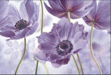 Glossy Series 8 31667-HL-1-B-P