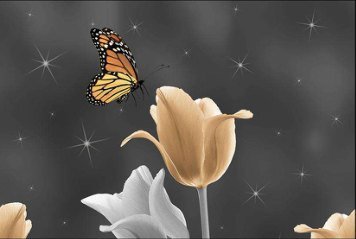 Glossy Series 8 31668-HL-1-A-P