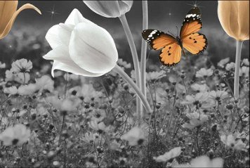 Glossy Series 8 31668-HL-1-B-P