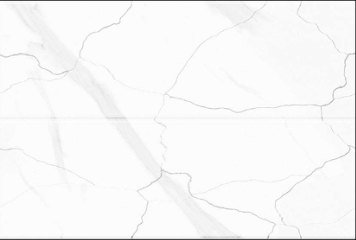 Glossy Series 9 31756-LT-702