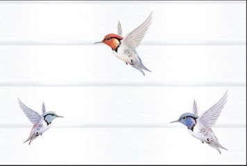 Glossy Series 9 31786-HL-1A-701