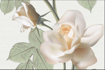 Glossy Series 9 31790-HL-1-P