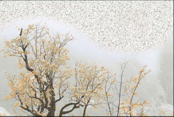 Glossy Series 9 32511-HL-1-P