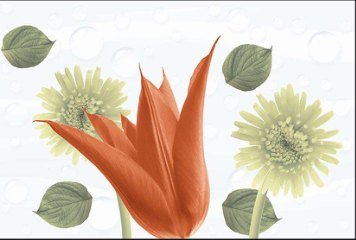 Glossy Series 9 32514-HL-1-P