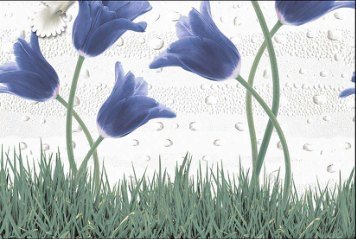 Glossy Series 9 32526-HL-2-P