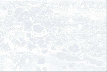 High Glossy 1 33008-LT-P