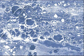 High Glossy 1 33008-DKP