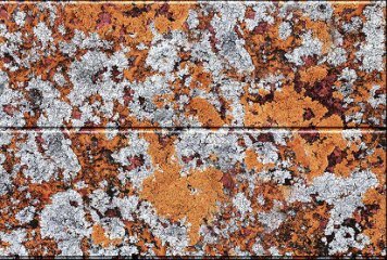 High Glossy 1 33040-DK702