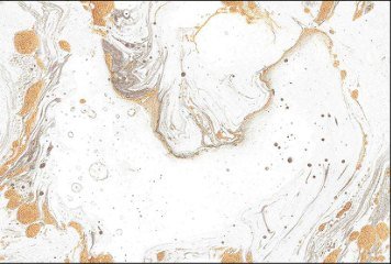 High Glossy 1 33042-LT-P