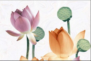 High Glossy 1 33060-HL-1-P