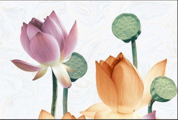 High Glossy 1 33061-HL-1-P