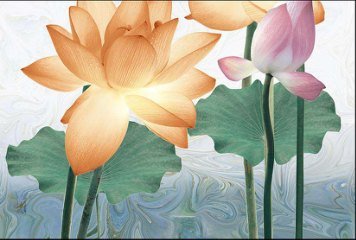 High Glossy 1 33061-HL-2-P