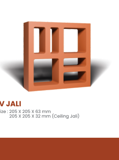 TV Jali
